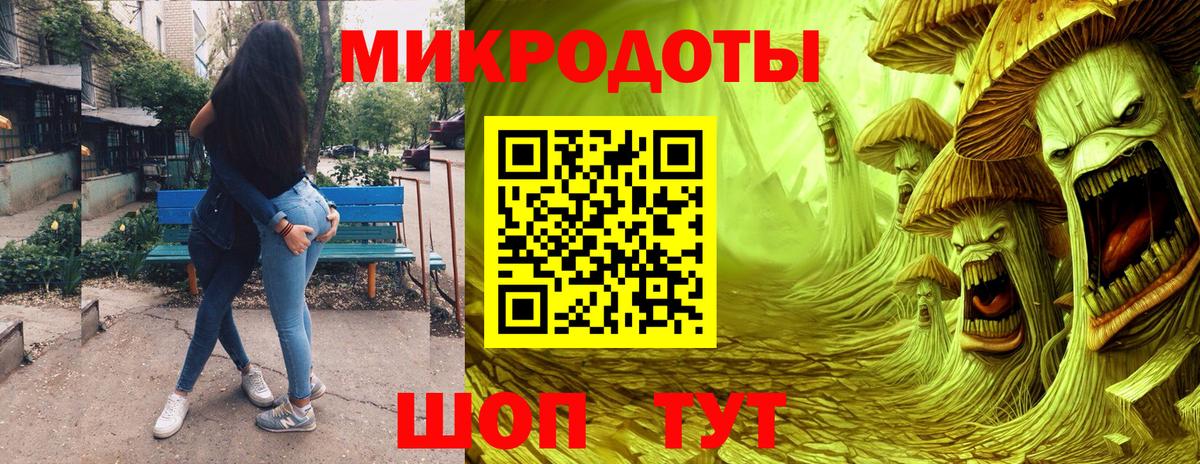 Псилоцибиновые грибы Psilocybine cubensis Киреевск