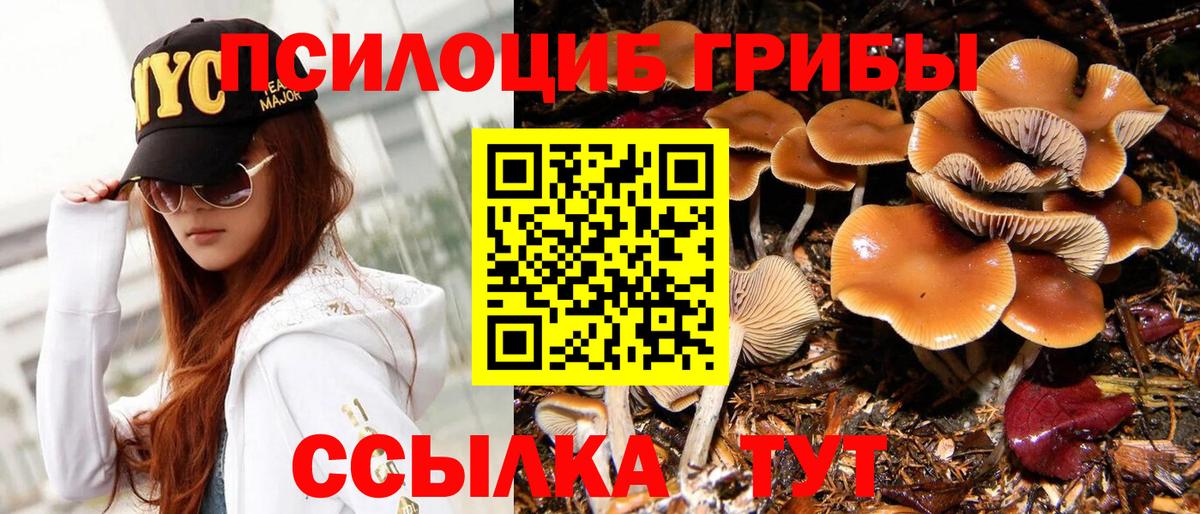 Псилоцибиновые грибы прущие грибы  Вход с VPN  Псилоцибиновые грибы мухоморы  Киреевск 